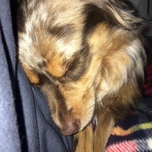 Meet your Posher, Carrie